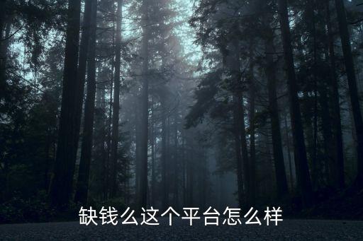 缺錢么這個(gè)平臺怎么樣