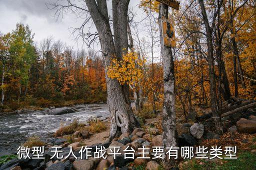 微型 無人作戰(zhàn)平臺(tái)主要有哪些類型