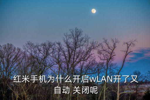  紅米手機(jī)為什么開啟wLAN開了又 自動(dòng) 關(guān)閉呢