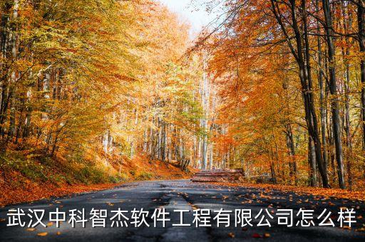 武漢中科智杰軟件工程有限公司怎么樣