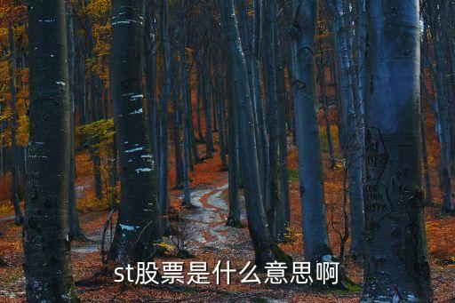 st股票是什么意思啊