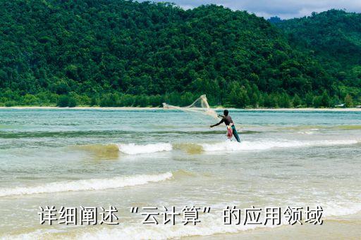 詳細(xì)闡述“云計(jì)算”的應(yīng)用領(lǐng)域