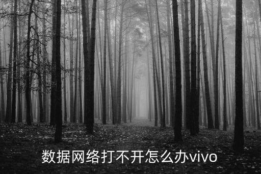 數(shù)據(jù)網(wǎng)絡(luò)打不開怎么辦vivo