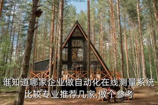 誰知道哪家企業(yè)做自動化在線測量系統(tǒng)比較專業(yè)推薦幾家,做個參考
