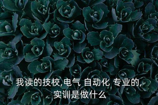 我讀的技校,電氣 自動(dòng)化 專業(yè)的, 實(shí)訓(xùn)是做什么