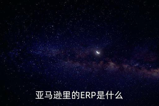 亞馬遜里的ERP是什么