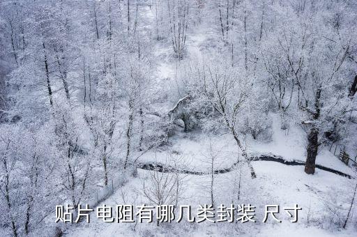 貼片電阻有哪幾類(lèi)封裝 尺寸