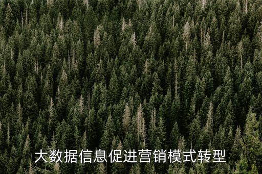 大數(shù)據(jù)信息促進(jìn)營銷模式轉(zhuǎn)型