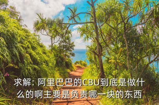 求解: 阿里巴巴的CBU到底是做什么的啊主要是負責哪一塊的東西
