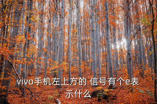 vivo手機(jī)左上方的 信號(hào)有個(gè)e表示什么