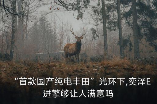 上海臺(tái)奕電氣自動(dòng)化,上海有電氣自動(dòng)化專(zhuān)業(yè)的學(xué)校