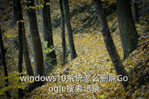 windows10系統(tǒng)怎么刪除Google搜索記錄