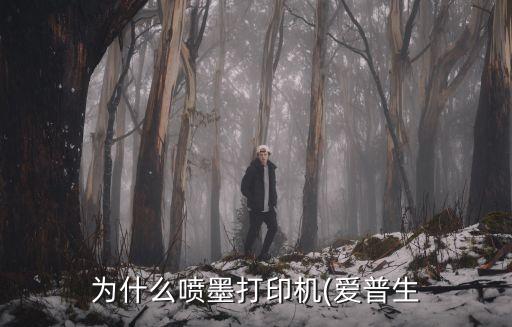 為什么噴墨打印機(jī)(愛普生