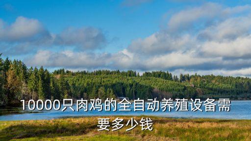 10000只肉雞的全自動(dòng)養(yǎng)殖設(shè)備需要多少錢