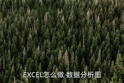 EXCEL怎么做 數(shù)據(jù)分析圖