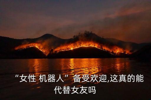 中國(guó)機(jī)器人女人,機(jī)器人女人能生孩子嗎