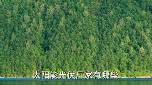 光伏發(fā)電自動化設(shè)備廠家,中國十大光伏發(fā)電公司排名出爐
