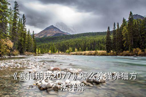 貓糧投喂自動化設備,七大喂貓誤區(qū):貓糧不能單獨喂