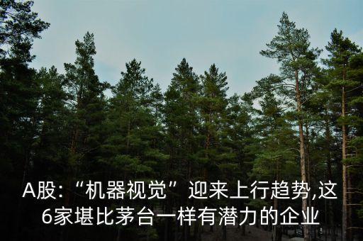 機(jī)械設(shè)備自動化公司市值,電氣設(shè)備行業(yè)龍頭股