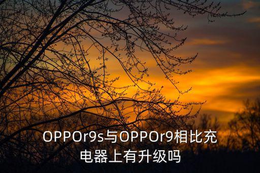 r9s充電器數(shù)據(jù),oppor9s能用9v2a充電器嗎?