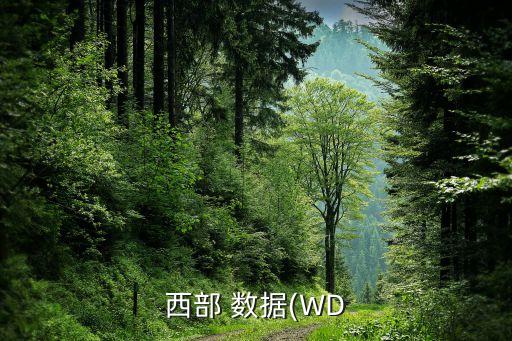 wd數(shù)據(jù)線,Wd數(shù)據(jù)線是什么