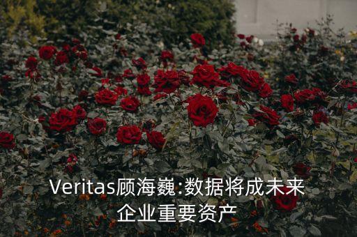 Veritas顧海巍:數(shù)據(jù)將成未來企業(yè)重要資產(chǎn)