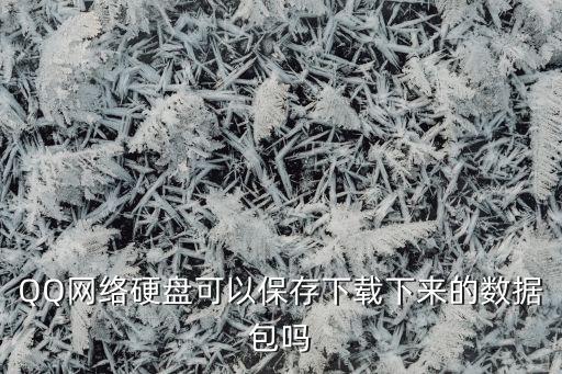 QQ網(wǎng)絡(luò)硬盤(pán)可以保存下載下來(lái)的數(shù)據(jù)包嗎