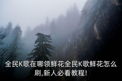 全民K歌在哪領(lǐng)鮮花全民K歌鮮花怎么刷,新人必看教程!
