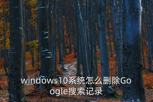 windows10系統(tǒng)怎么刪除Google搜索記錄