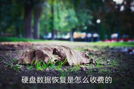 硬盤數(shù)據(jù)恢復(fù)是怎么收費(fèi)的