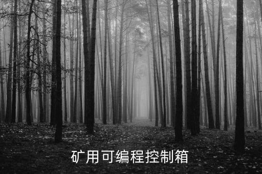 礦用可編程控制箱