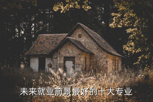 未來(lái)就業(yè)前景最好的十大專業(yè)