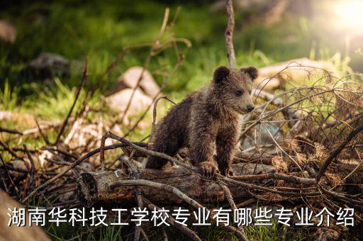 湖南華科技工學(xué)校專業(yè)有哪些專業(yè)介紹