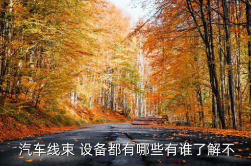  汽車線束 設(shè)備都有哪些有誰(shuí)了解不