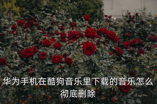 清楚數(shù)據(jù)酷狗,怎么清除酷狗音樂緩存文件?
