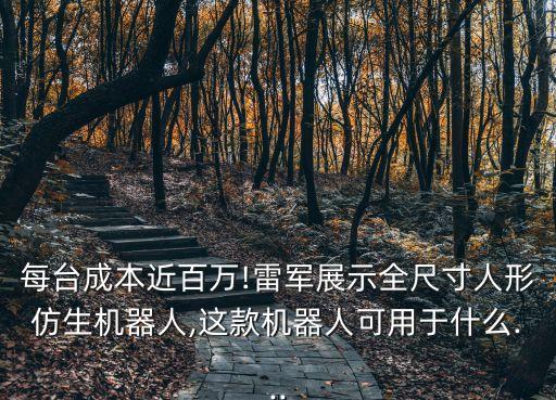 每臺(tái)成本近百萬(wàn)!雷軍展示全尺寸人形仿生機(jī)器人,這款機(jī)器人可用于什么...