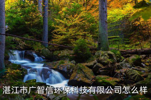 湛江市廣智信環(huán)?？萍加邢薰驹趺礃? class=