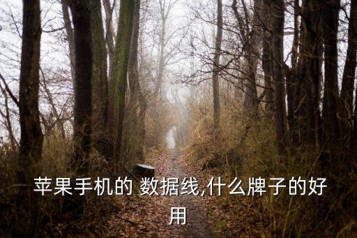 蘋果數(shù)據(jù)線tafiq怎么樣,羅馬仕的蘋果數(shù)據(jù)線怎么樣