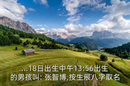 張智博,哥哥和妹妹分別叫什么?