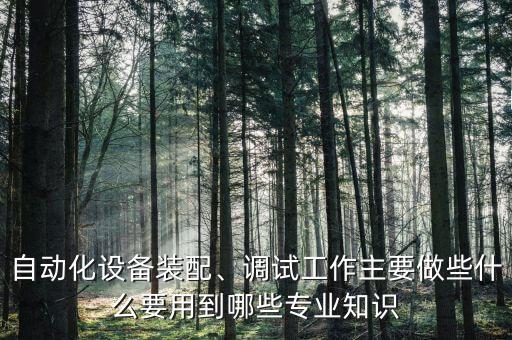 自動(dòng)化設(shè)備裝配、調(diào)試工作主要做些什么要用到哪些專業(yè)知識(shí)