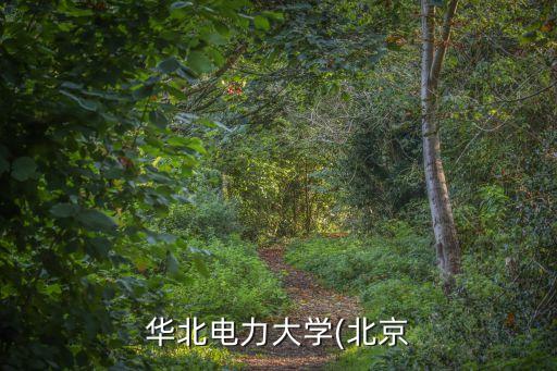 華北電力大學(xué)(北京