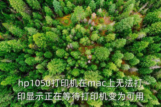hp1050打印機(jī)在mac上無法打印顯示正在等待打印機(jī)變?yōu)榭捎? class=