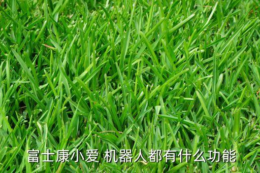  富士康小愛 機(jī)器人都有什么功能