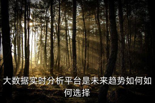 大數(shù)據(jù)實(shí)時(shí)分析平臺是未來趨勢如何如何選擇