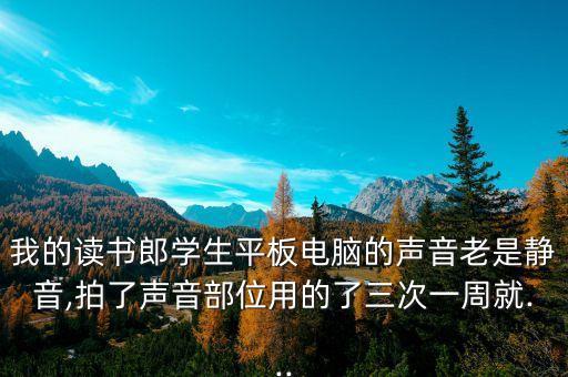 平板電腦 老是自動靜音,電腦自動靜音怎么辦?