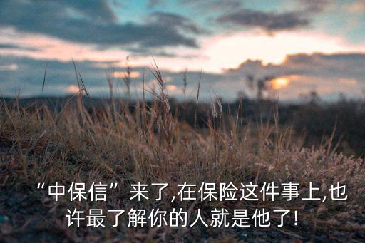 “中保信”來(lái)了,在保險(xiǎn)這件事上,也許最了解你的人就是他了!