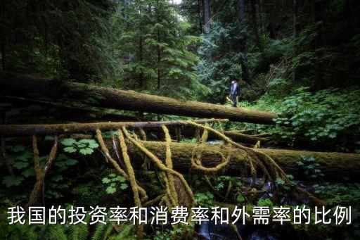 我國的投資率和消費率和外需率的比例