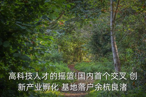高科技人才的搖籃!國內首個交叉 創(chuàng)新產業(yè)孵化 基地落戶余杭良渚