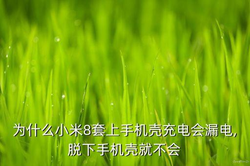小米數(shù)據(jù)線接口漏電,小米手機(jī)充電漏電數(shù)據(jù)線變紫色