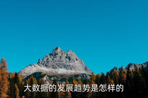 大數(shù)據(jù)的發(fā)展趨勢是怎樣的